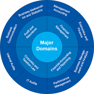 Nouman Shahzad Usmani Domains