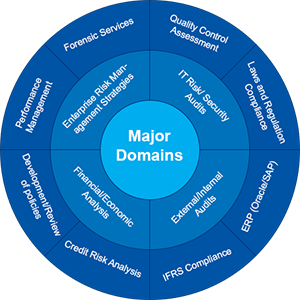 Rahat Ali Shah Domains